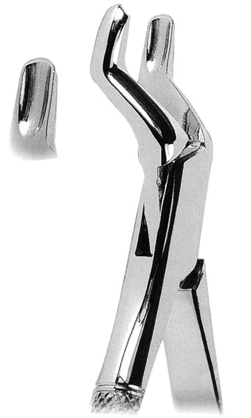 Extracting Forceps American Pattern