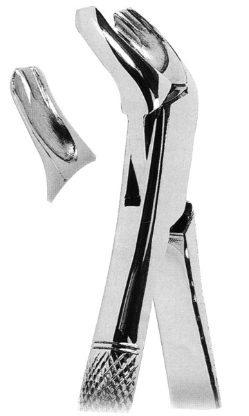 Extracting Forceps American Pattern