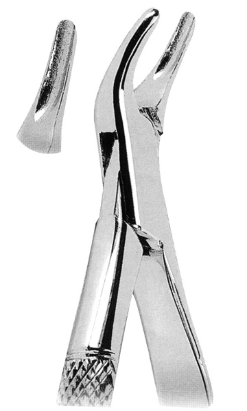 Extracting Forceps American Pattern