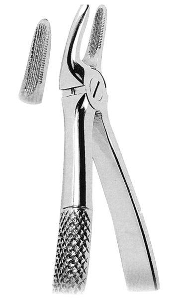 Extracting Forceps American Pattern