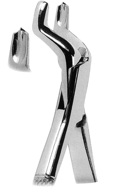 Extracting Forceps American Pattern