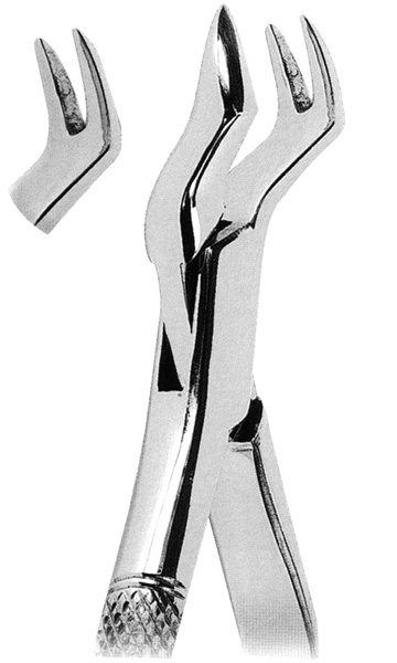 Extracting Forceps American Pattern