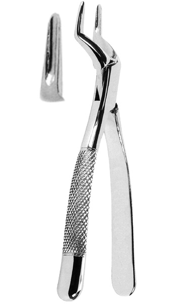 Extracting Forceps American Pattern