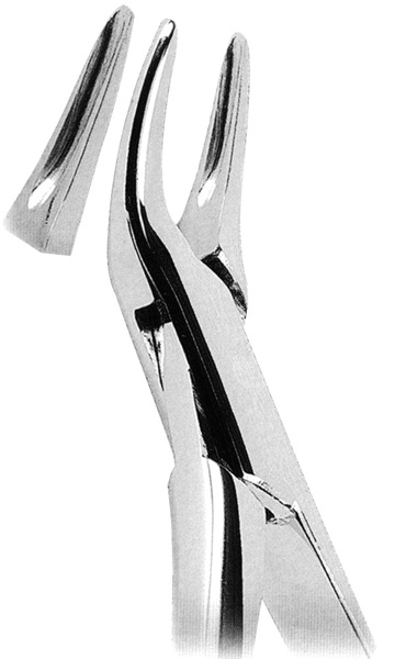 Extracting Forceps American Pattern