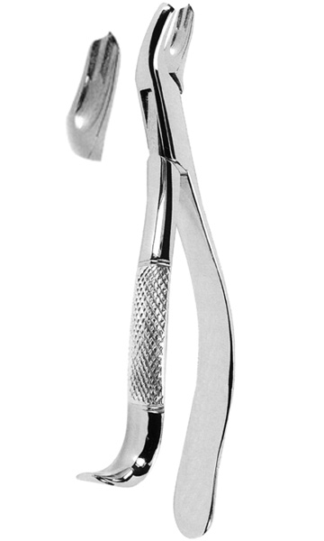 Extracting Forceps American Pattern