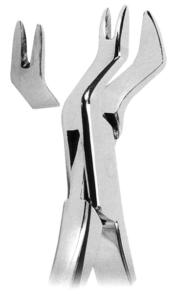 Extracting Forceps American Pattern