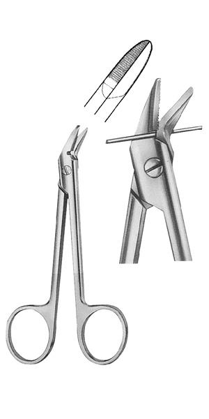 Oral, Delicate Scissors