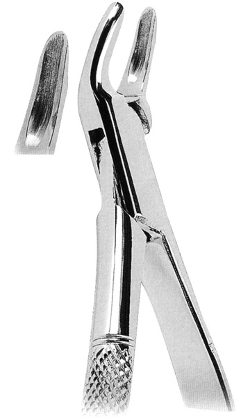 Extracting Forceps American Pattern