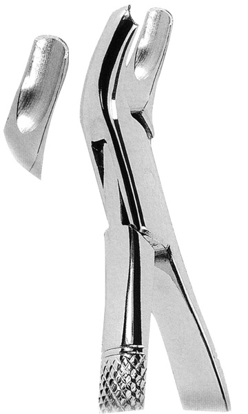 Extracting Forceps American Pattern