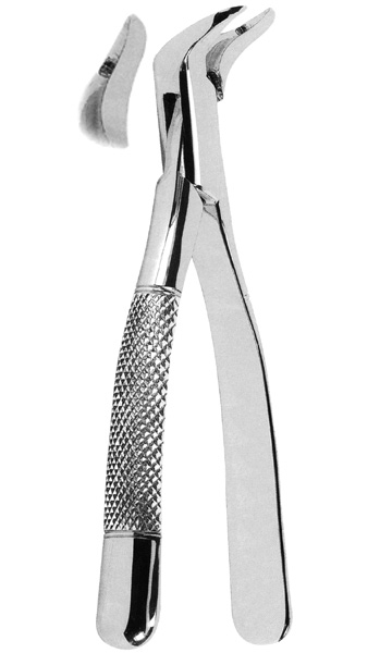 Extracting Forceps American Pattern